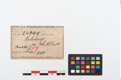 Etikett zu Bronzeradanhänger (NHMW-PRAE-024699)